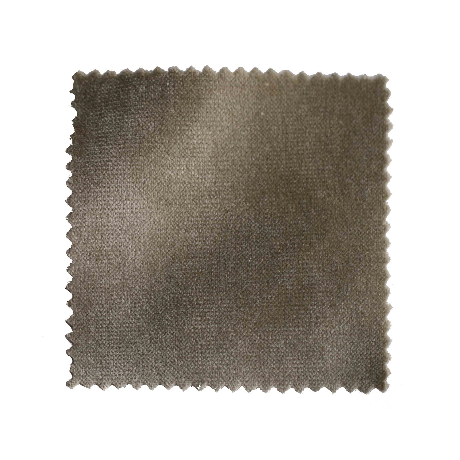 Cease Fire - Honeysuckle